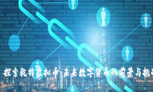 : 探索乾特虚拟币:未来数字货币的前景与挑战