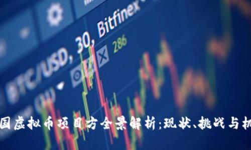 韩国虚拟币项目方全景解析:现状、挑战与机遇