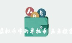 深入解读虚拟币中的单机币：未来投资