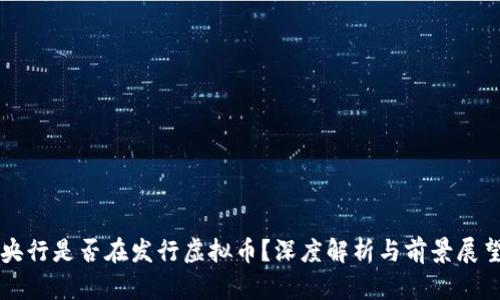 央行是否在发行虚拟币？深度解析与前景展望