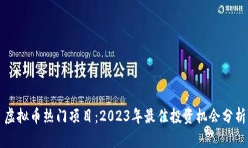 虚拟币热门项目:2023年最佳投资机会分析