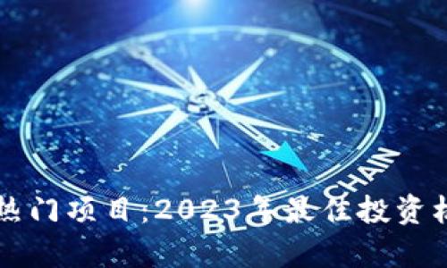 虚拟币热门项目:2023年最佳投资机会分析