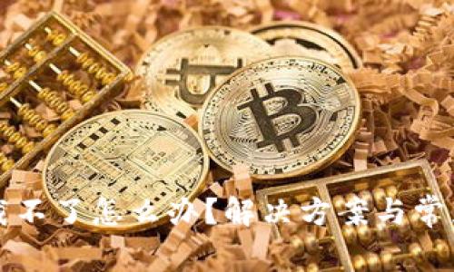 TP钱包下载不了怎么办?解决方案与常见问题解析