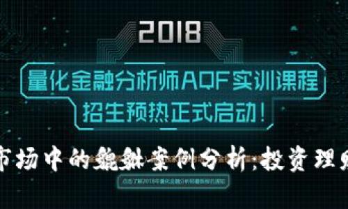 虚拟币市场中的貔貅案例分析:投资理财新机遇