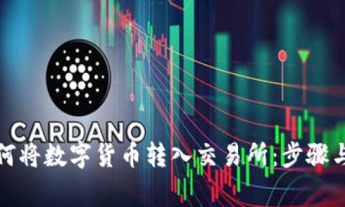 TP钱包如何将数字货币转入交易所:步骤与注意事项