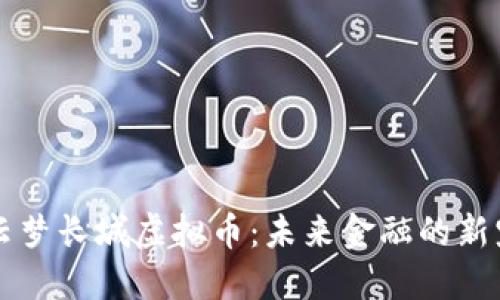云梦长城虚拟币:未来金融的新宠
