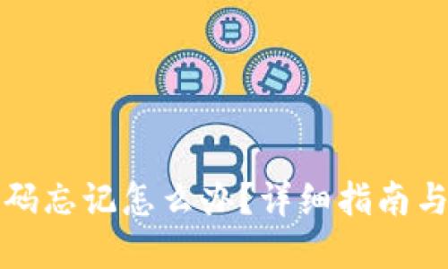 TP钱包密码忘记怎么办?详细指南与解决方案